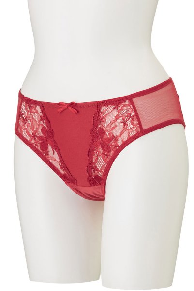 画像9: 【30%OFF】AISHA-red-C511 | ブラジリアンショーツ・レッド・シースルー  | ewabien エヴァビアン (9)