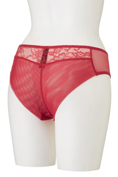 画像10: 【30%OFF】AISHA-red-C511 | ブラジリアンショーツ・レッド・シースルー  | ewabien エヴァビアン (10)