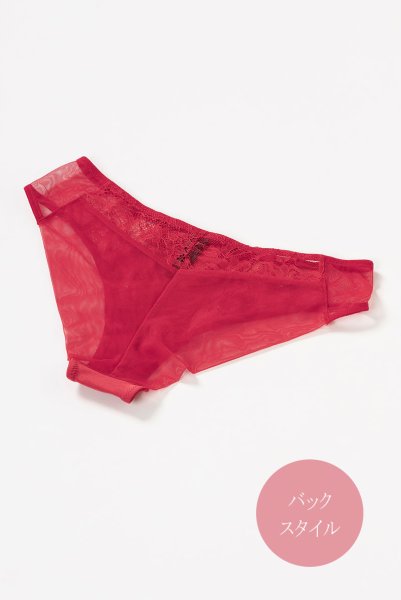 画像12: 【30%OFF】AISHA-red-C511 | ブラジリアンショーツ・レッド・シースルー  | ewabien エヴァビアン (12)