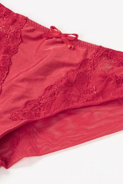 画像13: 【30%OFF】AISHA-red-C511 | ブラジリアンショーツ・レッド・シースルー  | ewabien エヴァビアン (13)