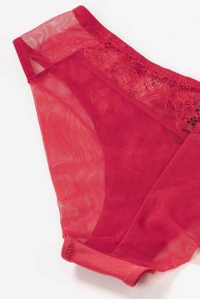 画像14: 【30%OFF】AISHA-red-C511 | ブラジリアンショーツ・レッド・シースルー  | ewabien エヴァビアン (14)