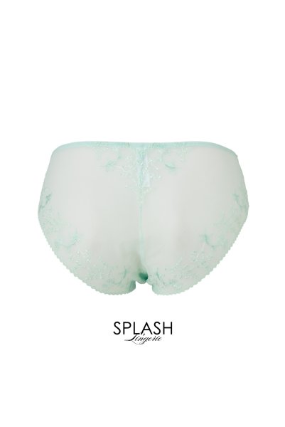 画像8: 【30%OFF】ノーマルショーツ（シースルー・ミント・ライトグリーン） ※メール便対象エヴァビアン ewabien輸入下着・高級ランジェリー   (8)