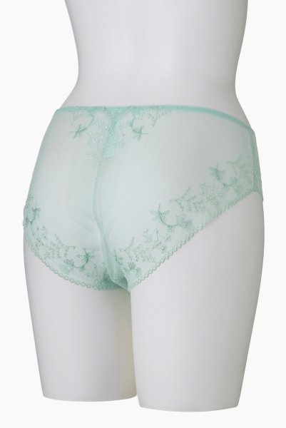 画像10: 【30%OFF】ノーマルショーツ（シースルー・ミント・ライトグリーン） ※メール便対象エヴァビアン ewabien輸入下着・高級ランジェリー   (10)