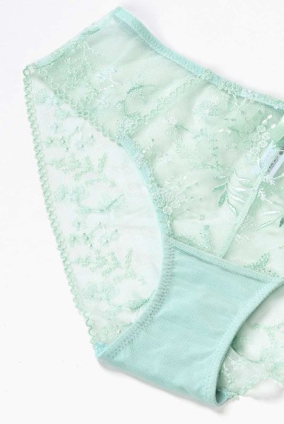 画像13: 【30%OFF】ノーマルショーツ（シースルー・ミント・ライトグリーン） ※メール便対象エヴァビアン ewabien輸入下着・高級ランジェリー   (13)