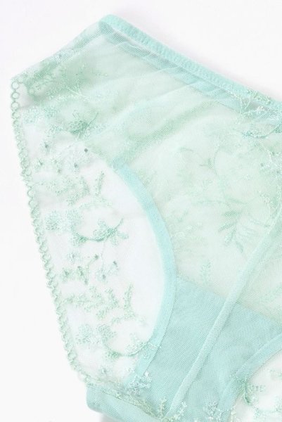 画像14: 【30%OFF】ノーマルショーツ（シースルー・ミント・ライトグリーン） ※メール便対象エヴァビアン ewabien輸入下着・高級ランジェリー   (14)