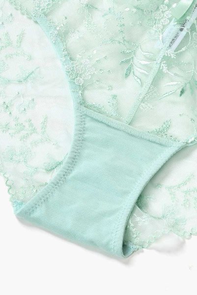 画像15: 【30%OFF】ノーマルショーツ（シースルー・ミント・ライトグリーン） ※メール便対象エヴァビアン ewabien輸入下着・高級ランジェリー   (15)