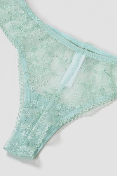 画像14: 【30%OFF】NADEEN-mint-C322 | ブラジリアンタンガ・Tバック・シースルー・ミント・ライトグリーン  | ewabien エヴァビアン (14)