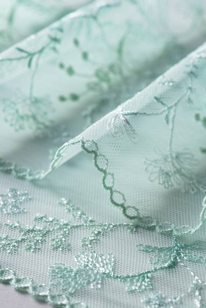 画像18: 【30%OFF】NADEEN-mint-C322 | ブラジリアンタンガ・Tバック・シースルー・ミント・ライトグリーン  | ewabien エヴァビアン (18)