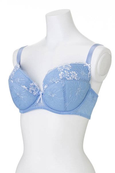 画像8: 【30%OFF】75Dサイズ|KAIRA-blue-B214 | グラマー向け美乳ブラ・ブルー | ewabien エヴァビアン (8)