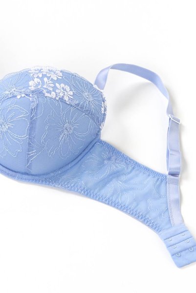 画像11: 【30%OFF】75Dサイズ|KAIRA-blue-B214 | グラマー向け美乳ブラ・ブルー | ewabien エヴァビアン (11)