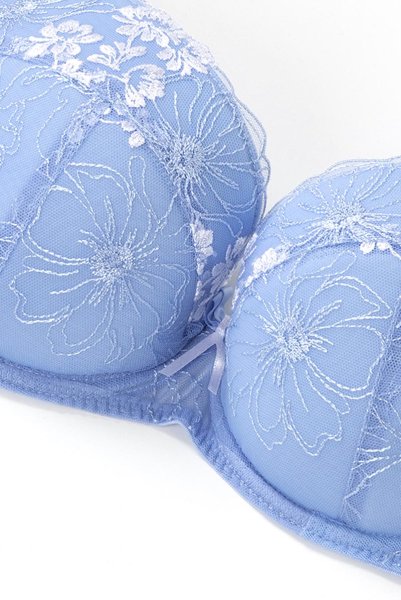 画像12: 【30%OFF】75Dサイズ|KAIRA-blue-B214 | グラマー向け美乳ブラ・ブルー | ewabien エヴァビアン (12)