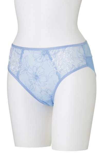 画像9: 【30%OFF】KAIRA-blue-C110 | ノーマルショーツ・シースルー・ブルー  | ewabien エヴァビアン (9)