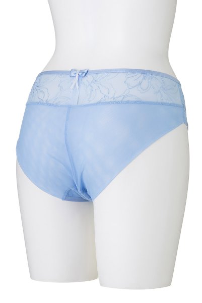 画像10: 【30%OFF】KAIRA-blue-C110 | ノーマルショーツ・シースルー・ブルー  | ewabien エヴァビアン (10)