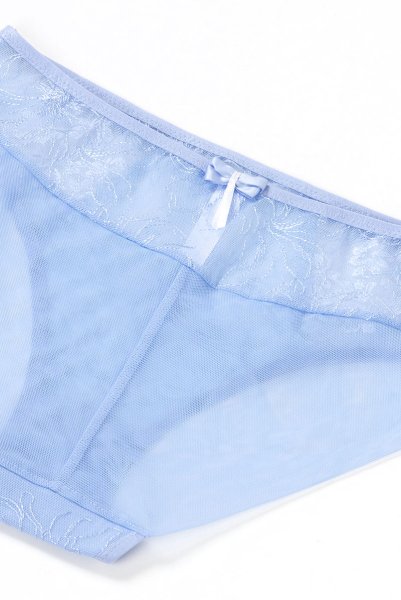 画像14: 【30%OFF】KAIRA-blue-C110 | ノーマルショーツ・シースルー・ブルー  | ewabien エヴァビアン (14)