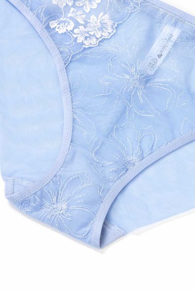 画像15: 【30%OFF】KAIRA-blue-C110 | ノーマルショーツ・シースルー・ブルー  | ewabien エヴァビアン (15)