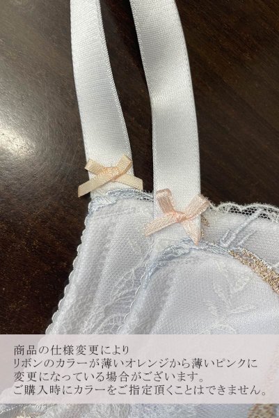 画像11: 【30%OFF】セミソフトブラ(大きいサイズ・D〜Kカップ・ホワイト)エヴァビアン ewabien輸入下着・高級ランジェリー   (11)