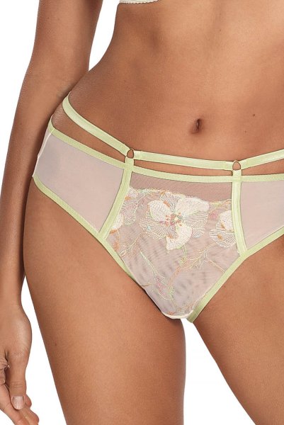 画像7: 【30%OFF】MILA cream C110 | ノーマルショーツ・クリーム×グリーン  | ewabien エヴァビアン (7)