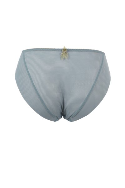 画像2: 【30%OFF】NATALI blue-grey C110 | ノーマルショーツ・ブルーグレー  | ewabien エヴァビアン (2)