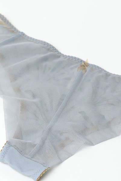 画像12: 【30%OFF】NATALI blue-grey C322 |ブラジリアンタンガ・シースルー・ブルーグレー  | ewabien エヴァビアン (12)