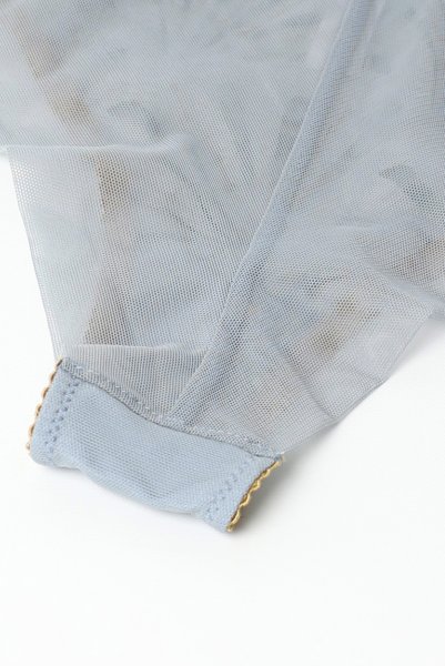 画像14: 【30%OFF】NATALI blue-grey C322 |ブラジリアンタンガ・シースルー・ブルーグレー  | ewabien エヴァビアン (14)