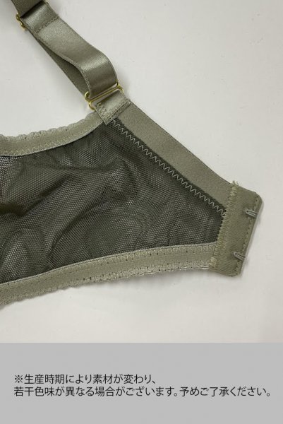 画像11: 【30%OFF】85Bサイズ｜AMBER green B214| 3/4カップ・ワイヤーブラ・グラマー向け・グリーン | ewabien エヴァビアン| 輸入下着・高級ランジェリー  (11)