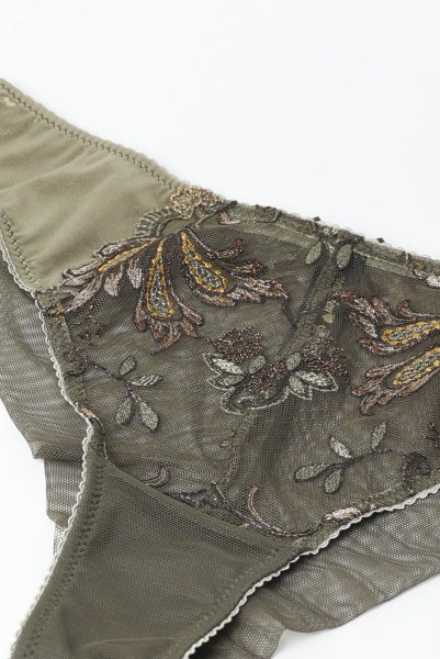 画像11: 【30%OFF】AMBER green C322 |ブラジリアンタンガ・シースルー・グリーン  | ewabien エヴァビアン (11)