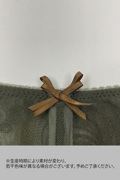 画像15: 【30%OFF】AMBER green C322 |ブラジリアンタンガ・シースルー・グリーン  | ewabien エヴァビアン (15)