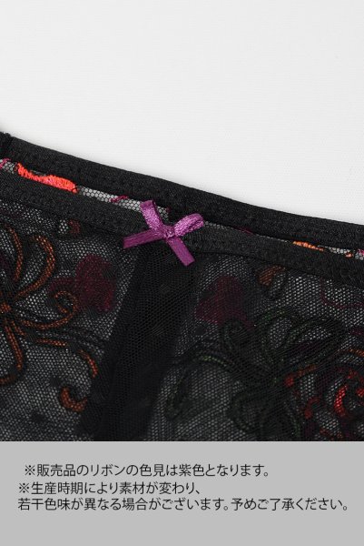 画像15: 【30%OFF】LOLA black-C511|ブラジリアンショーツ・ブラック | ewabien エヴァビアン (15)