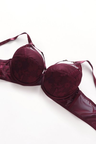 画像8: 【30%OFF】70Dサイズ|ORLANDO-claret-B214 | 3/4カップ・ワイヤーブラ・グラマー向け・B〜Gカップ・クラレット | ewabien エヴァビアン| 輸入下着・高級ランジェリー  (8)