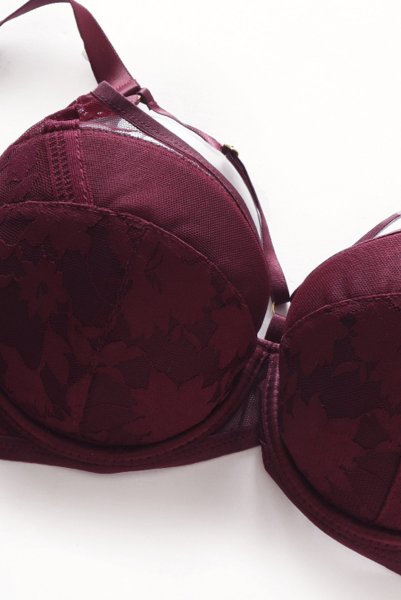 画像10: 【30%OFF】70Dサイズ|ORLANDO-claret-B214 | 3/4カップ・ワイヤーブラ・グラマー向け・B〜Gカップ・クラレット | ewabien エヴァビアン| 輸入下着・高級ランジェリー  (10)