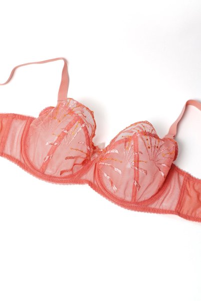 画像8: NATALI flamingo B161 | フルカップ・パッドなし・ワイヤーブラ・一枚レース・大きいサイズ・ピンク| ewabien エヴァビアン| 輸入下着・高級ランジェリー  (8)