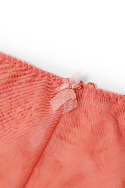 画像14: NATALI flamingo C110 | ノーマルショーツ・ピンク  | ewabien エヴァビアン (14)