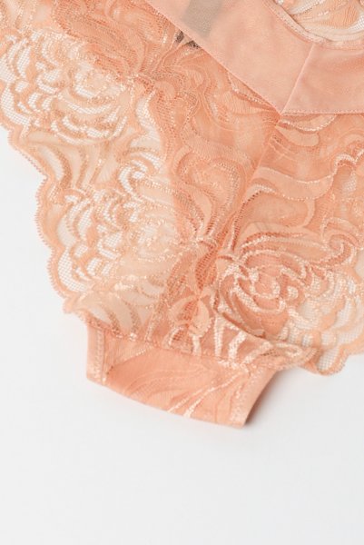 画像14: MARISA-apricot-C511|ブラジリアンショーツ・アプリコット | ewabien エヴァビアン (14)