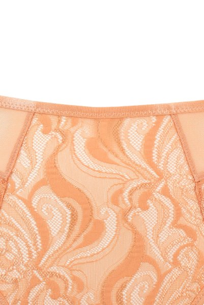 画像15: MARISA-apricot-C511|ブラジリアンショーツ・アプリコット | ewabien エヴァビアン (15)