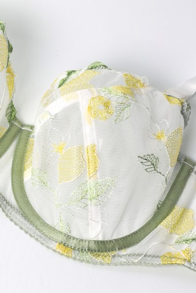 画像9: LIMON cream B161 | フルカップ・パッドなし・ワイヤーブラ・一枚レース・大きいサイズ・クリーム | ewabien エヴァビアン| 輸入下着・高級ランジェリー  (9)