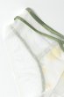 画像13: LIMON cream C511｜ブラジリアンショーツ・クリーム | ewabien エヴァビアン【サイズ交換NG・メール便対象】輸入下着・高級ランジェリー  (13)