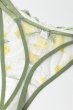画像12: LIMON cream C215 |タンガ・Tバック・クリーム | ewabien エヴァビアン【サイズ交換NG・メール便対象】輸入下着・高級ランジェリー  (12)