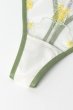 画像13: LIMON cream C215 |タンガ・Tバック・クリーム | ewabien エヴァビアン【サイズ交換NG・メール便対象】輸入下着・高級ランジェリー  (13)