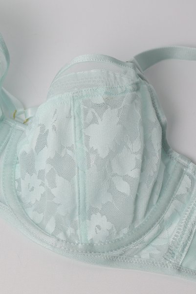 画像9: ORLANDO-mint-B161 | フルカップ・パッドなし・ワイヤーブラ・一枚レース・大きいサイズ・C〜Kカップ・ミント | ewabien エヴァビアン| 輸入下着・高級ランジェリー  (9)