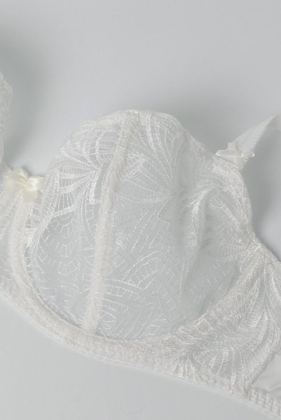 画像9: RINA cream B139 | フルカップ・パッドなし・ワイヤーブラ・一枚レース・大きいサイズ・B〜Iカップ・ホワイト | ewabien エヴァビアン| 輸入下着・高級ランジェリー  (9)