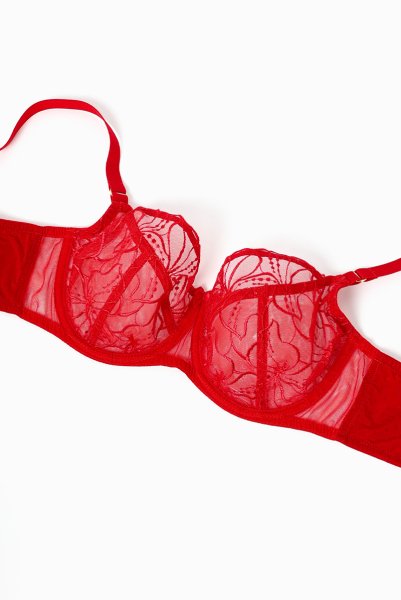 画像8: HARPER red B161 | フルカップブラ・パッドなし・ワイヤーブラ・一枚レース・大きいサイズ・レッド | ewabien エヴァビアン【サイズ交換OK・メール便対象】 輸入下着・高級ランジェリー  (8)