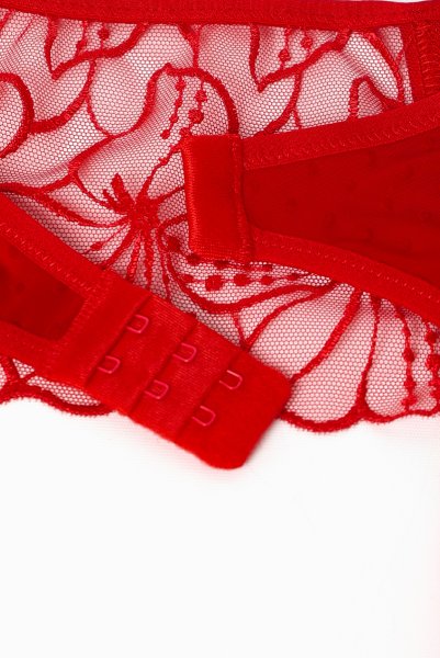 画像13: HARPERred-C603|ガーターベルト・レッド | ewabien エヴァビアン【サイズ交換OK・メール便対象】輸入下着・高級ランジェリー  (13)