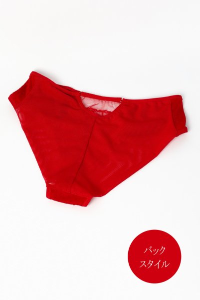 画像10: HARPER red C511｜ブラジリアンショーツ・レッド | ewabien エヴァビアン【サイズ交換NG・メール便対象】輸入下着・高級ランジェリー  (10)