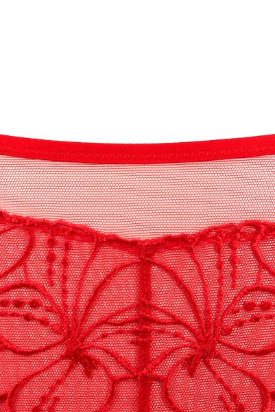 画像14: HARPER red C511｜ブラジリアンショーツ・レッド | ewabien エヴァビアン【サイズ交換NG・メール便対象】輸入下着・高級ランジェリー  (14)