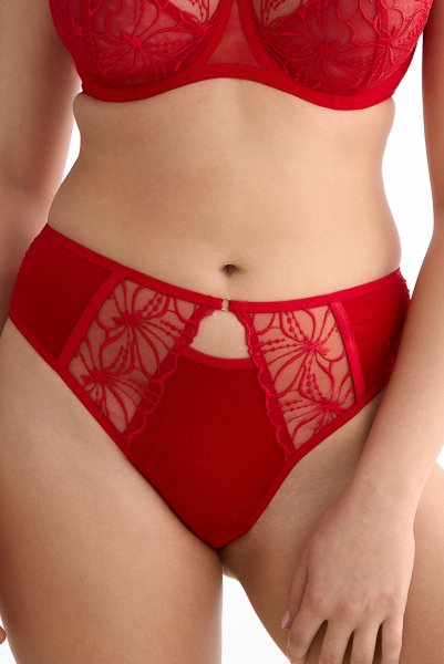 画像3: HARPER-red-C322 |ブラジリアンタンガ・レッド  | ewabien エヴァビアン【サイズ交換NG・メール便対象】輸入下着・高級ランジェリー  (3)