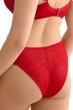 画像4: HARPER-red-C322 |ブラジリアンタンガ・レッド  | ewabien エヴァビアン【サイズ交換NG・メール便対象】輸入下着・高級ランジェリー  (4)