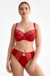 画像5: HARPER-red-C322 |ブラジリアンタンガ・レッド  | ewabien エヴァビアン【サイズ交換NG・メール便対象】輸入下着・高級ランジェリー  (5)