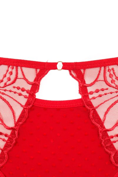 画像14: HARPER-red-C322 |ブラジリアンタンガ・レッド  | ewabien エヴァビアン【サイズ交換NG・メール便対象】輸入下着・高級ランジェリー  (14)