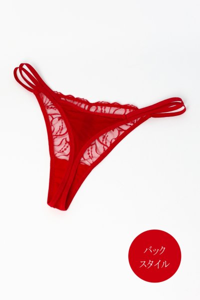 画像10: HARPER red C215 | タンガ・シースルー・レッド  | ewabien エヴァビアン【サイズ交換NG・メール便対象】輸入下着・高級ランジェリー  (10)