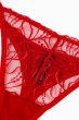 画像11: HARPER red C215 | タンガ・シースルー・レッド  | ewabien エヴァビアン【サイズ交換NG・メール便対象】輸入下着・高級ランジェリー  (11)